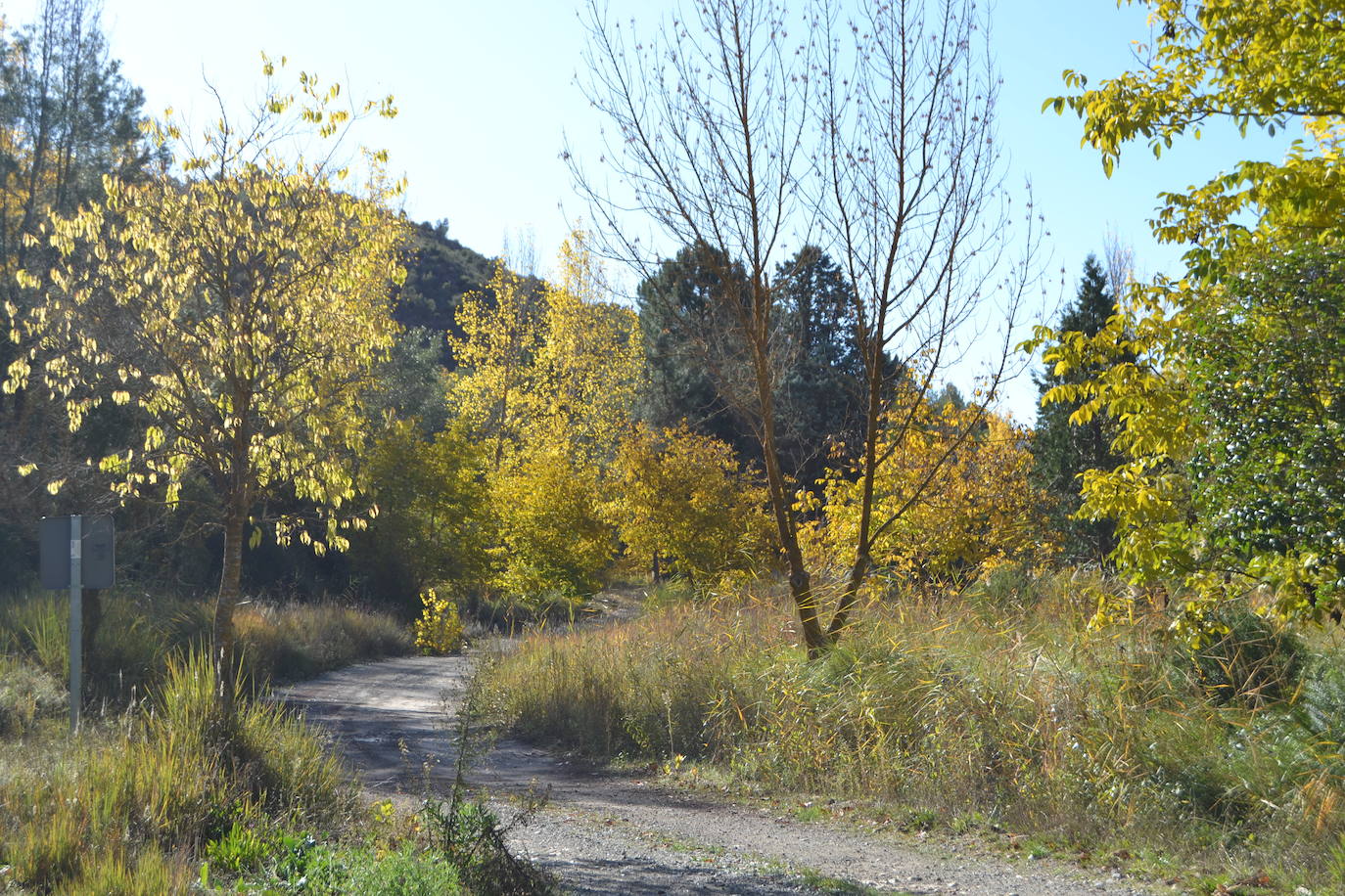 Cerca de 150 deportistas, entre participantes del trail, minitrail y senderistas, celebran en esta prueba que tuvo lugar en una agradable mañana de domingo 