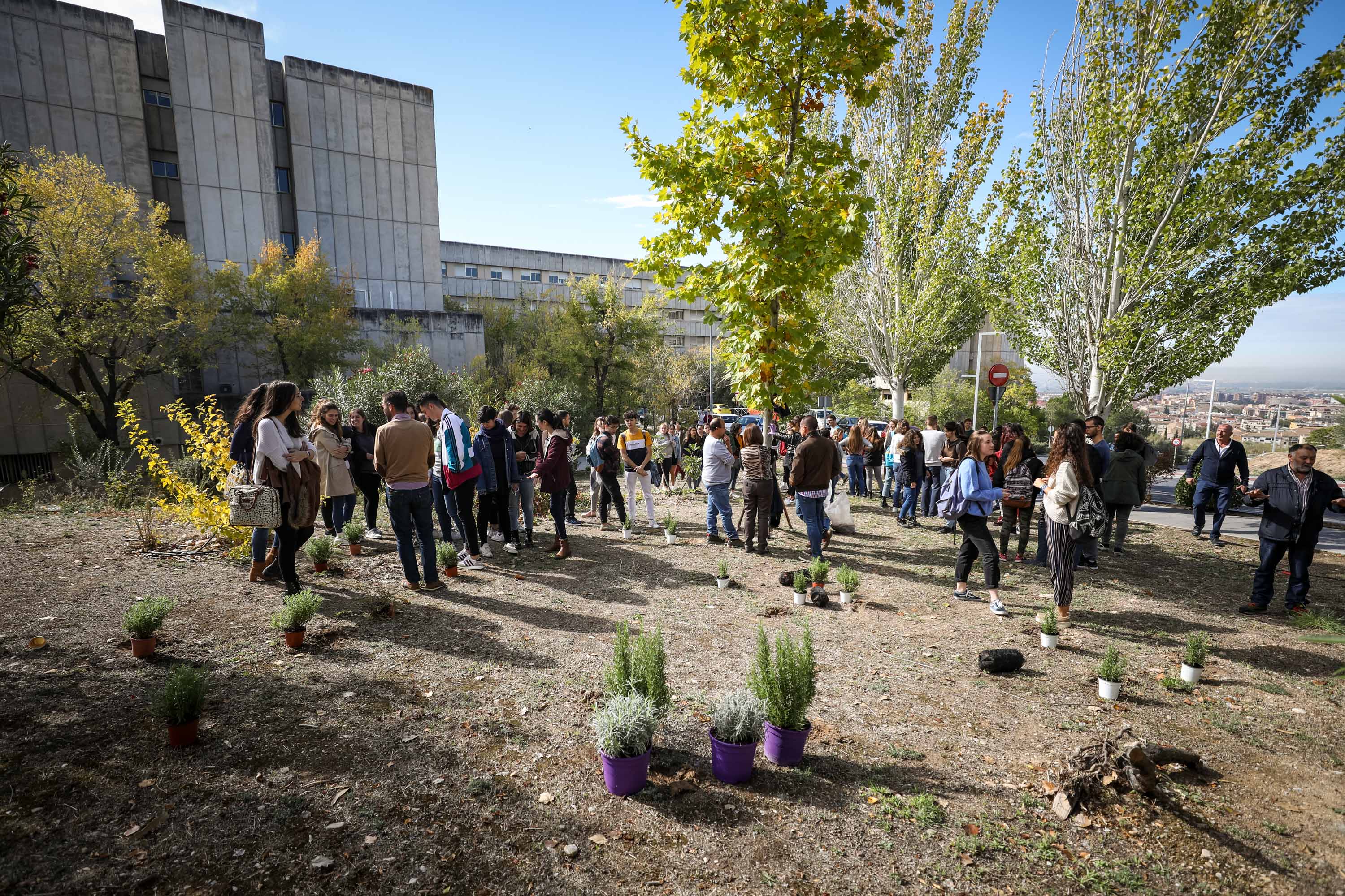 Estudiantes, profesores y resto de profesionales ponen en marcha una campaña de concienciación con el medio ambiente.