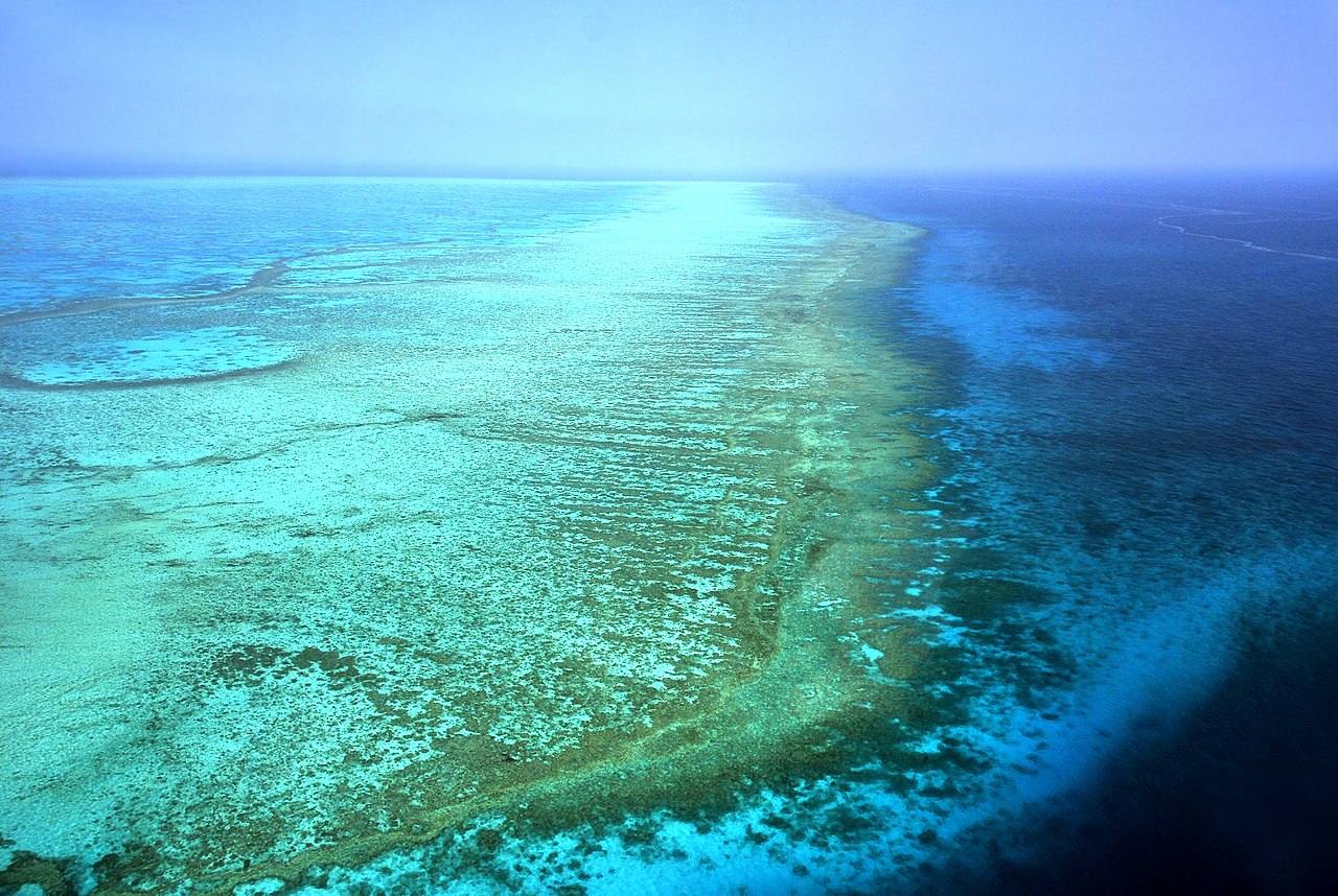 Gran barrera de coral