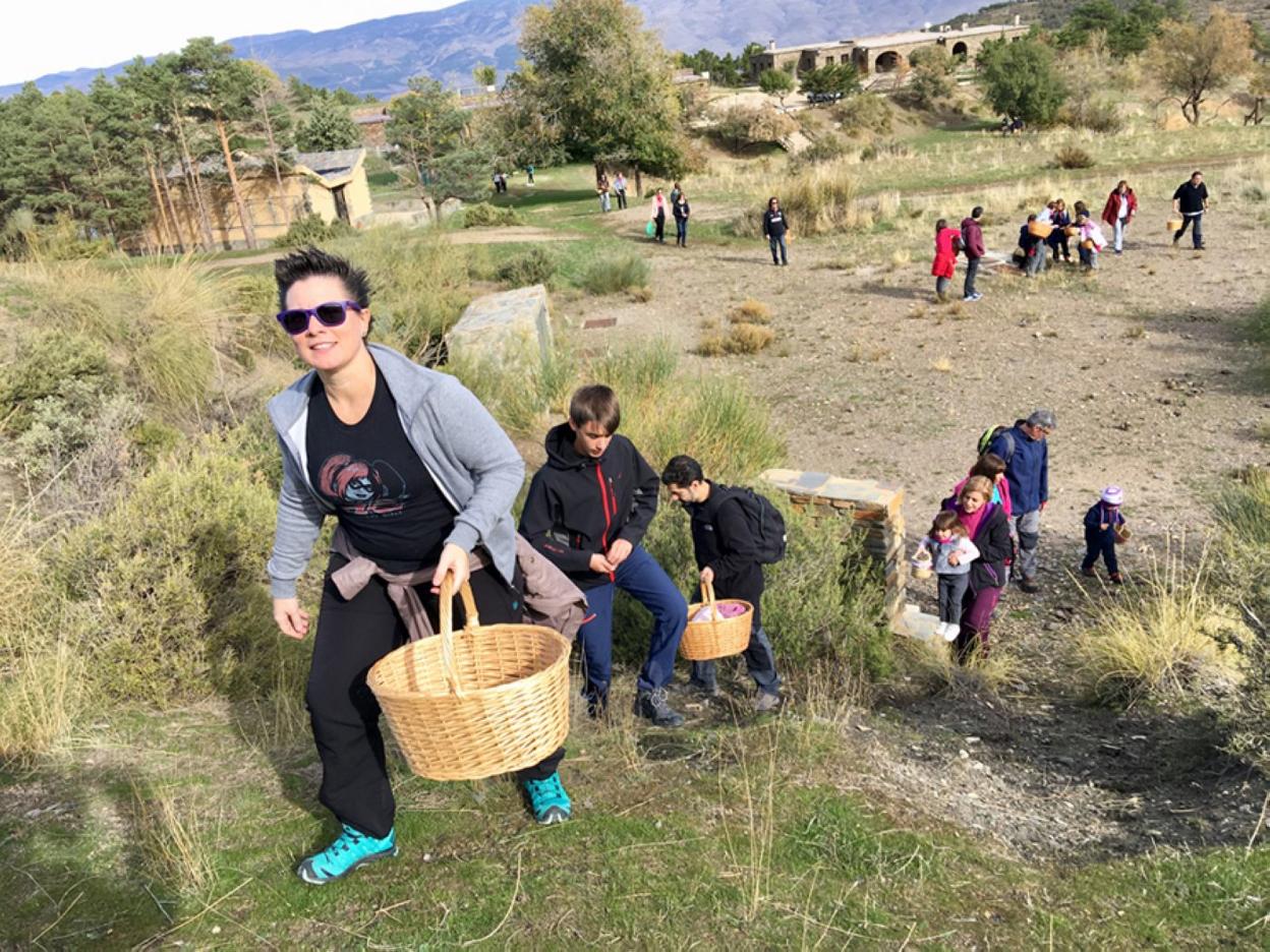 Participantes en las jornadas micológicas del año pasado inician la recogida de setas.