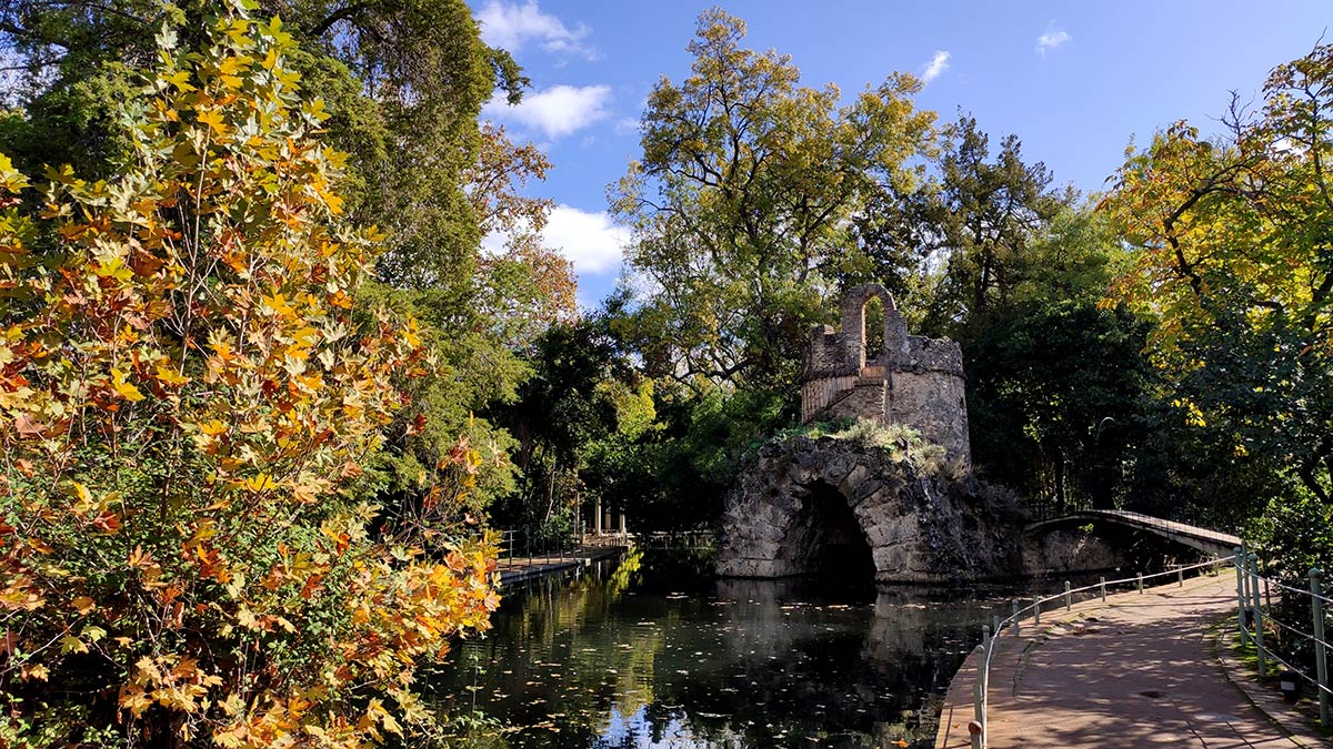 Plátanos de sombra en el Carmen de los Mártires 