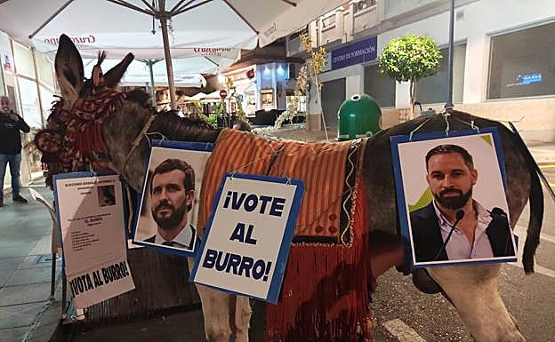 Imagen principal - Protesta en burro por las calles de Motril para criticar a los políticos el 10N