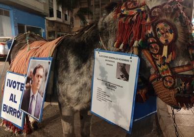 Imagen secundaria 1 - Protesta en burro por las calles de Motril para criticar a los políticos el 10N