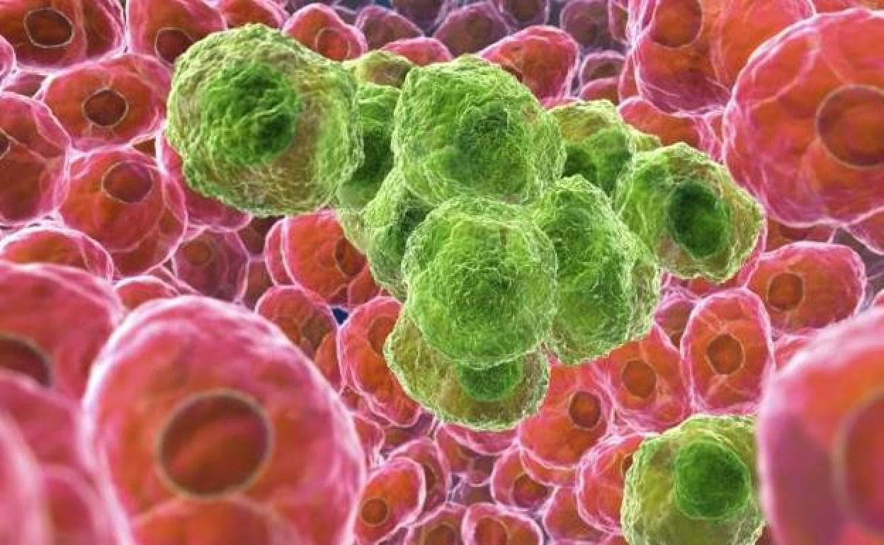 Un virus diseñado en laboratorio podría acabar con todos los tipos de cáncer