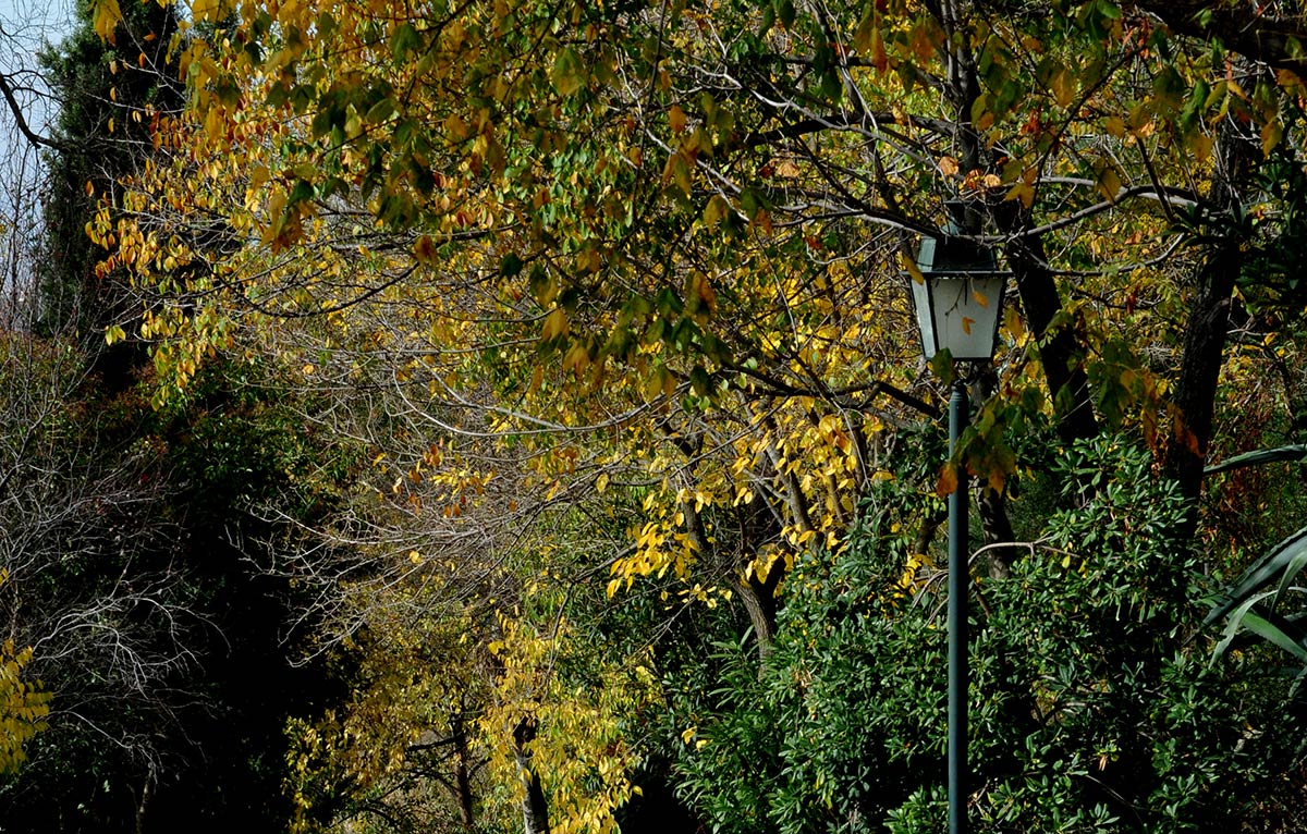 Las colinas del Albaicín, la Sabika y el cerro del Sol se visten con los colores del otoño