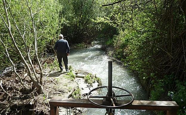 Canalizaciones en Granada | Los agricultores de la Vega sur las reclaman a la Junta de Andalucía para que no mueran sus tierras