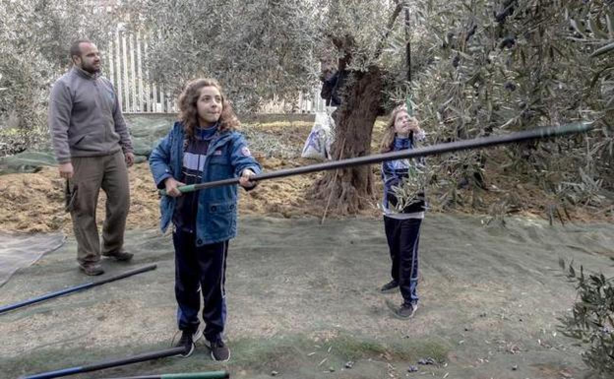 Noticias de Granada | Las cinco noticias que debes conocer en la noche de este martes