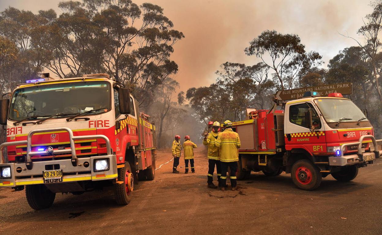 Imagen de unos bomberos rescatando a un koala. 