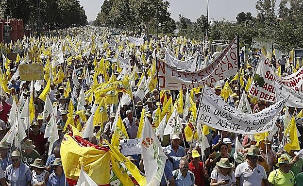Manifestación en Sevilla, a la que siguió otra en Madrid tras la primera de Jaén. 
