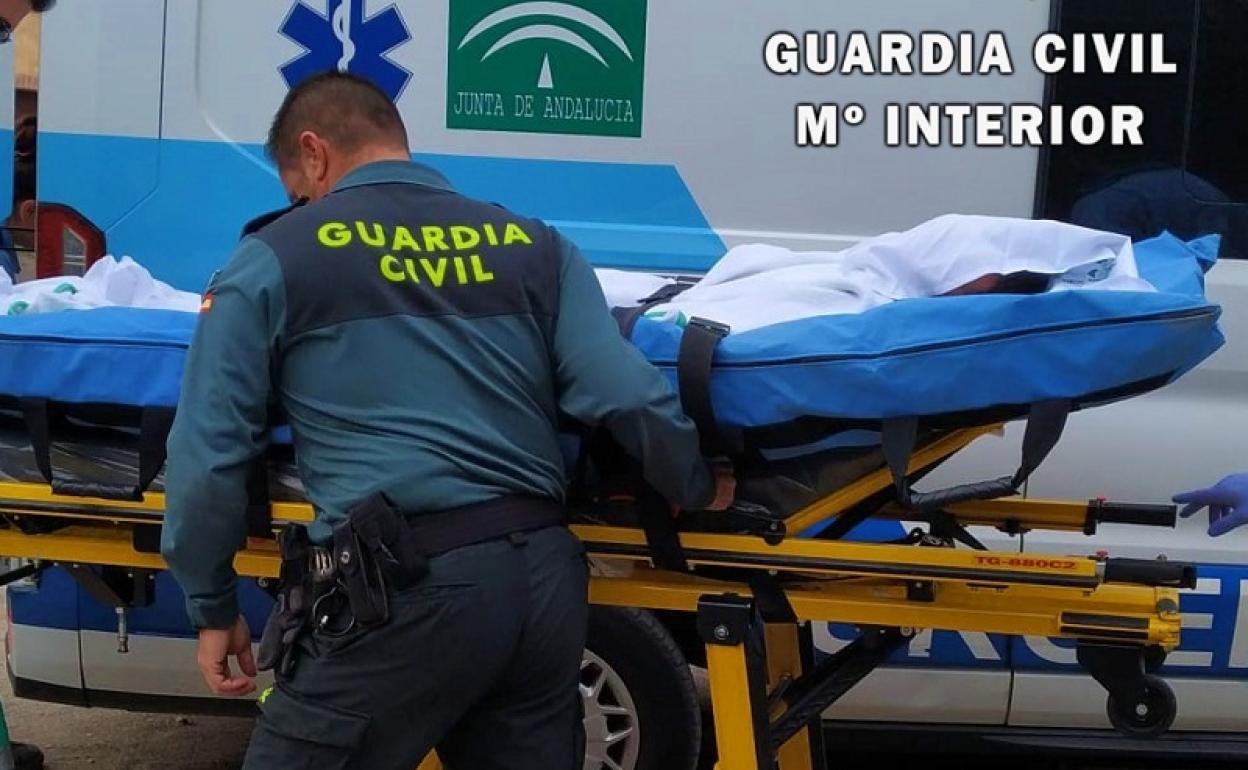 Herido al ser atropellado por un carruaje de los decorados cinematográficos de Tabernas