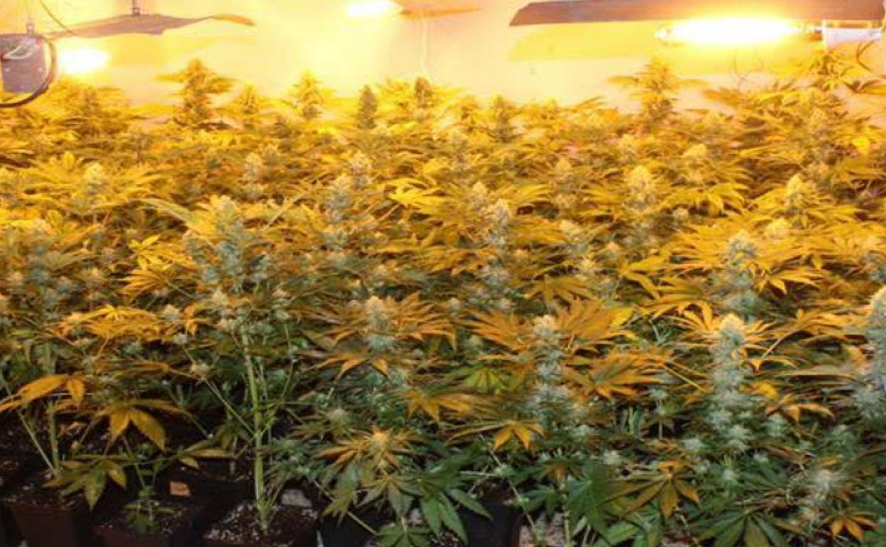 Actualidad en Granada | Las 5 noticias que debes conocer este miércoles por la tarde