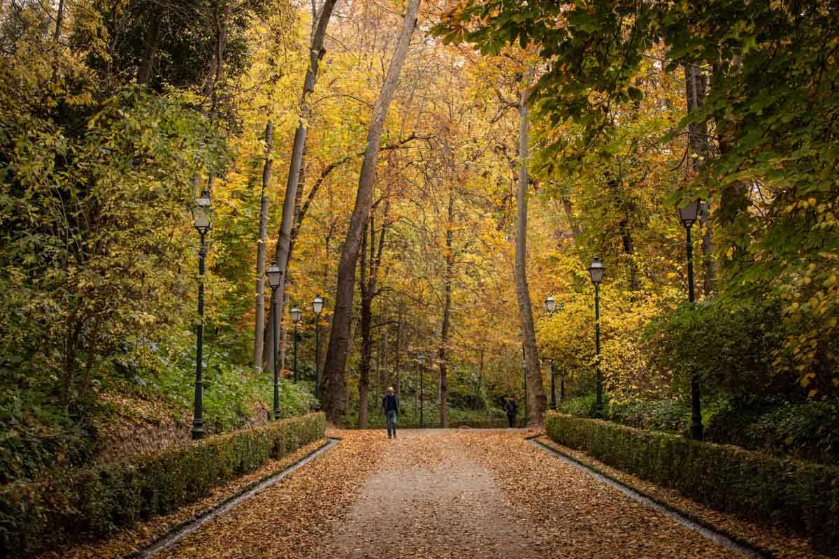 La capital nazarí ofrece paisajes bellos y penetrantes en la estación otoñal | La Alhambra, el centro... todos los rincones ofrecen hermosas estampas