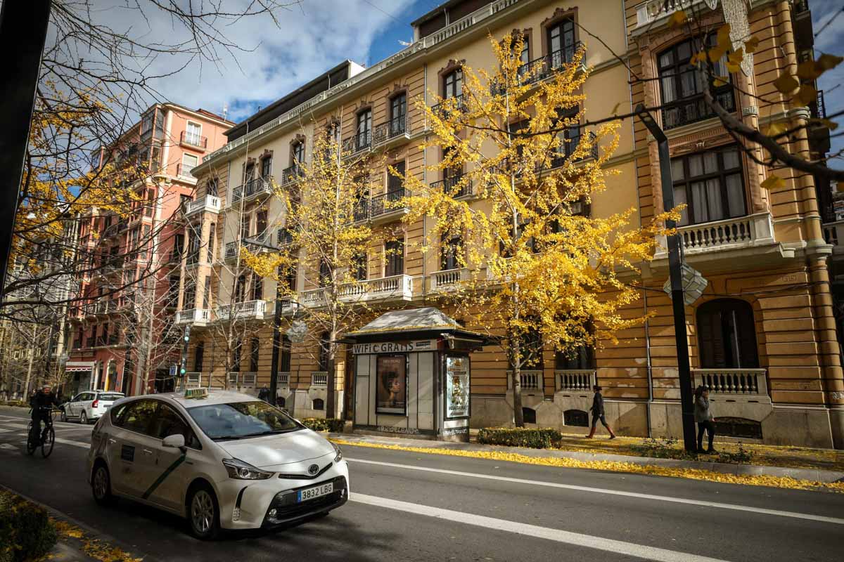 La capital nazarí ofrece paisajes bellos y penetrantes en la estación otoñal | La Alhambra, el centro... todos los rincones ofrecen hermosas estampas