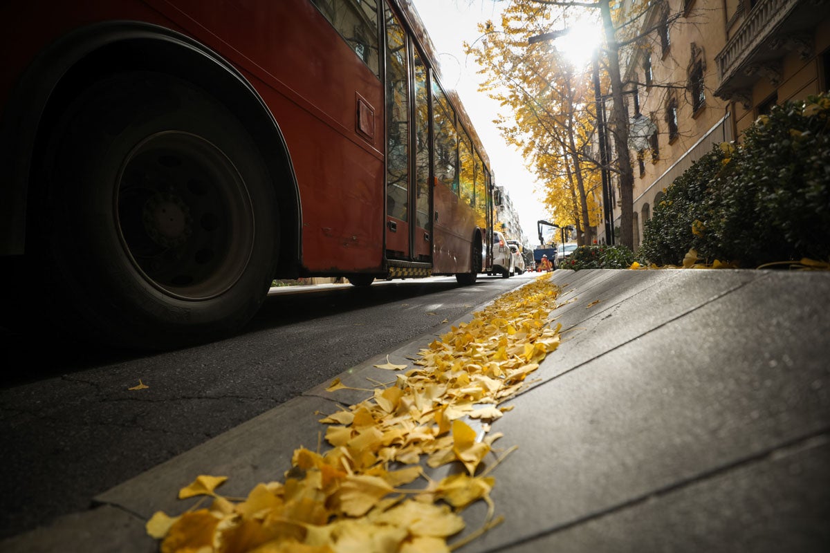 La capital nazarí ofrece paisajes bellos y penetrantes en la estación otoñal | La Alhambra, el centro... todos los rincones ofrecen hermosas estampas