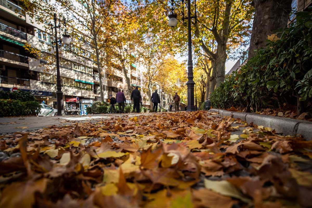 La capital nazarí ofrece paisajes bellos y penetrantes en la estación otoñal | La Alhambra, el centro... todos los rincones ofrecen hermosas estampas