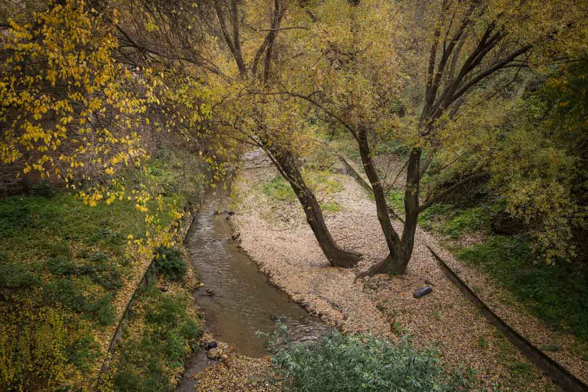 La capital nazarí ofrece paisajes bellos y penetrantes en la estación otoñal | La Alhambra, el centro... todos los rincones ofrecen hermosas estampas