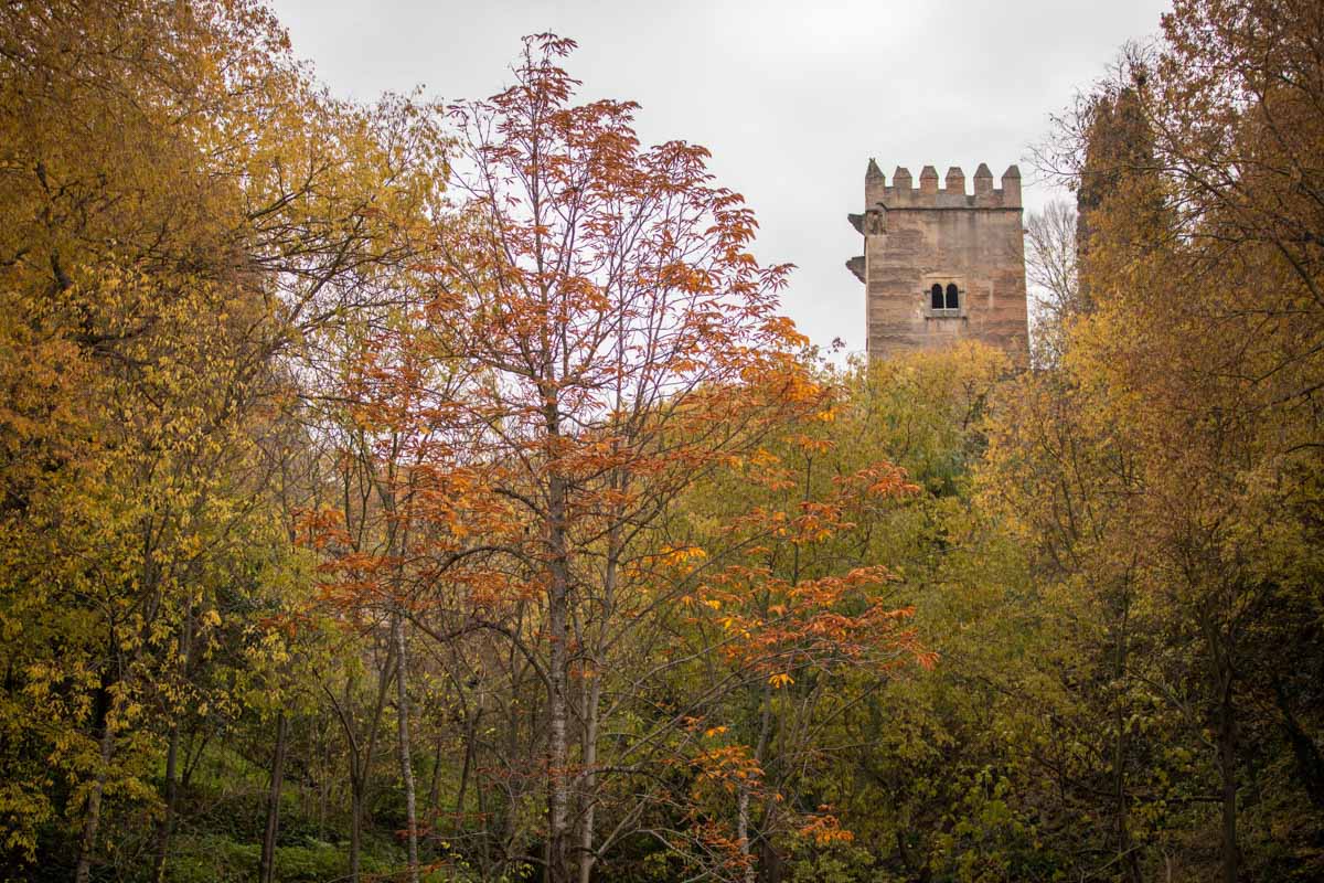 La capital nazarí ofrece paisajes bellos y penetrantes en la estación otoñal | La Alhambra, el centro... todos los rincones ofrecen hermosas estampas