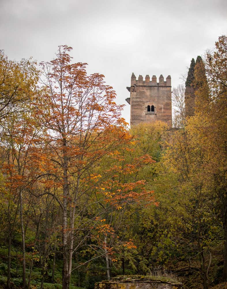La capital nazarí ofrece paisajes bellos y penetrantes en la estación otoñal | La Alhambra, el centro... todos los rincones ofrecen hermosas estampas