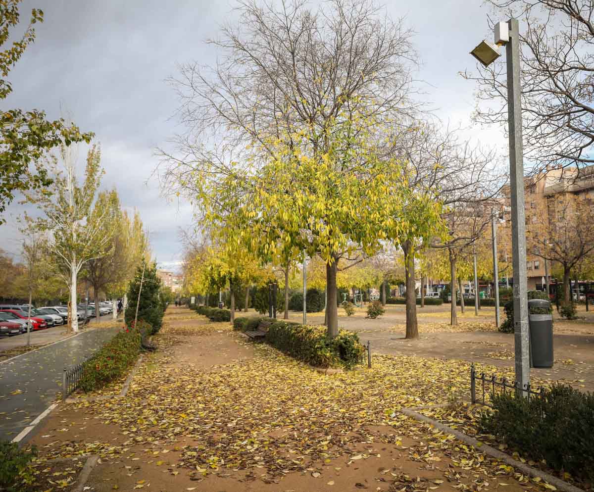La capital nazarí ofrece paisajes bellos y penetrantes en la estación otoñal | La Alhambra, el centro... todos los rincones ofrecen hermosas estampas