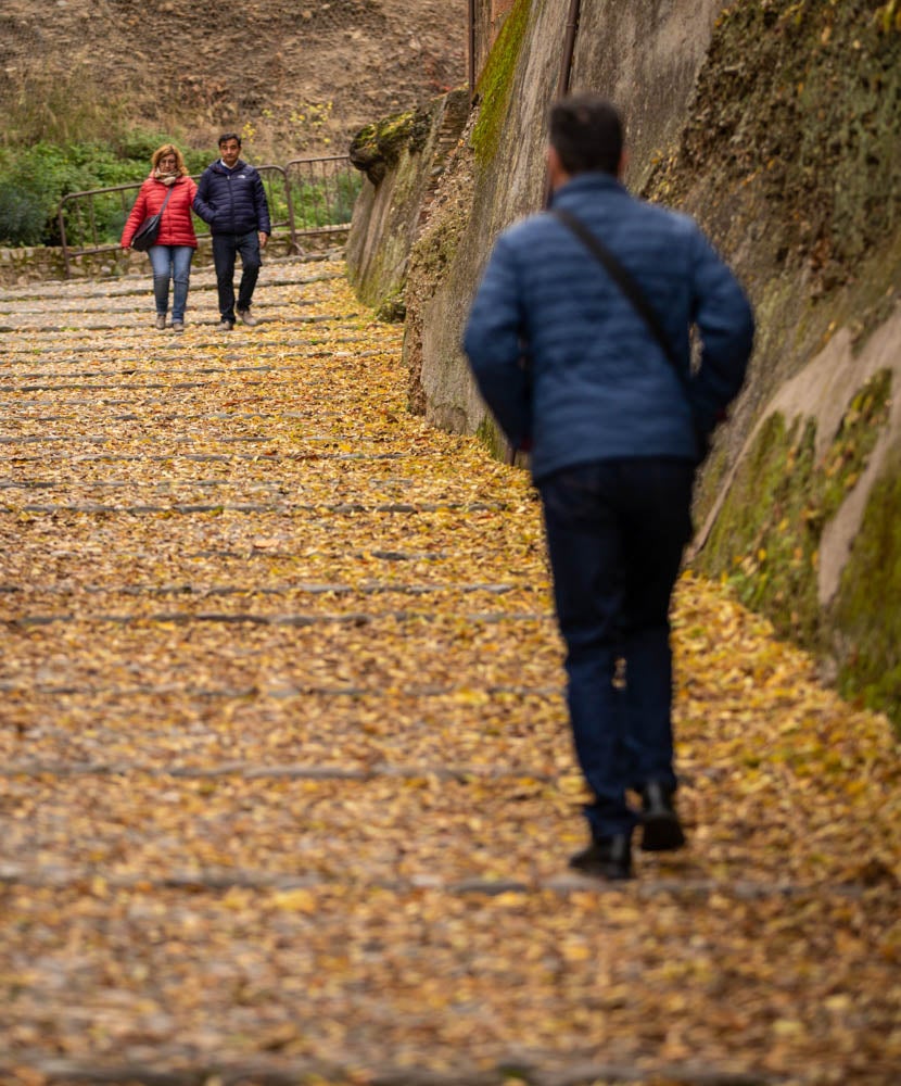 La capital nazarí ofrece paisajes bellos y penetrantes en la estación otoñal | La Alhambra, el centro... todos los rincones ofrecen hermosas estampas