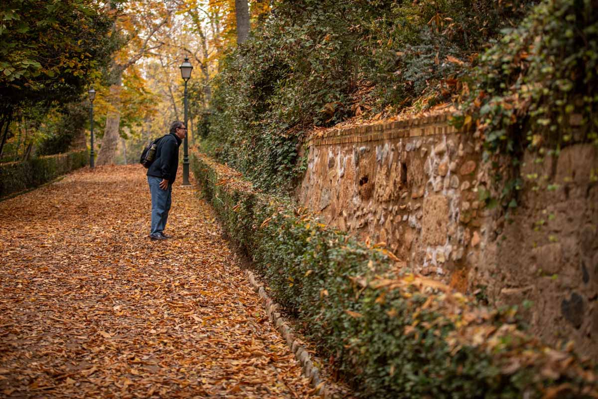 La capital nazarí ofrece paisajes bellos y penetrantes en la estación otoñal | La Alhambra, el centro... todos los rincones ofrecen hermosas estampas