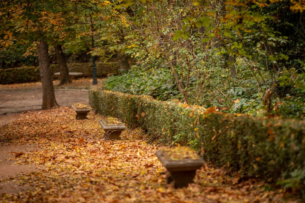 La capital nazarí ofrece paisajes bellos y penetrantes en la estación otoñal | La Alhambra, el centro... todos los rincones ofrecen hermosas estampas