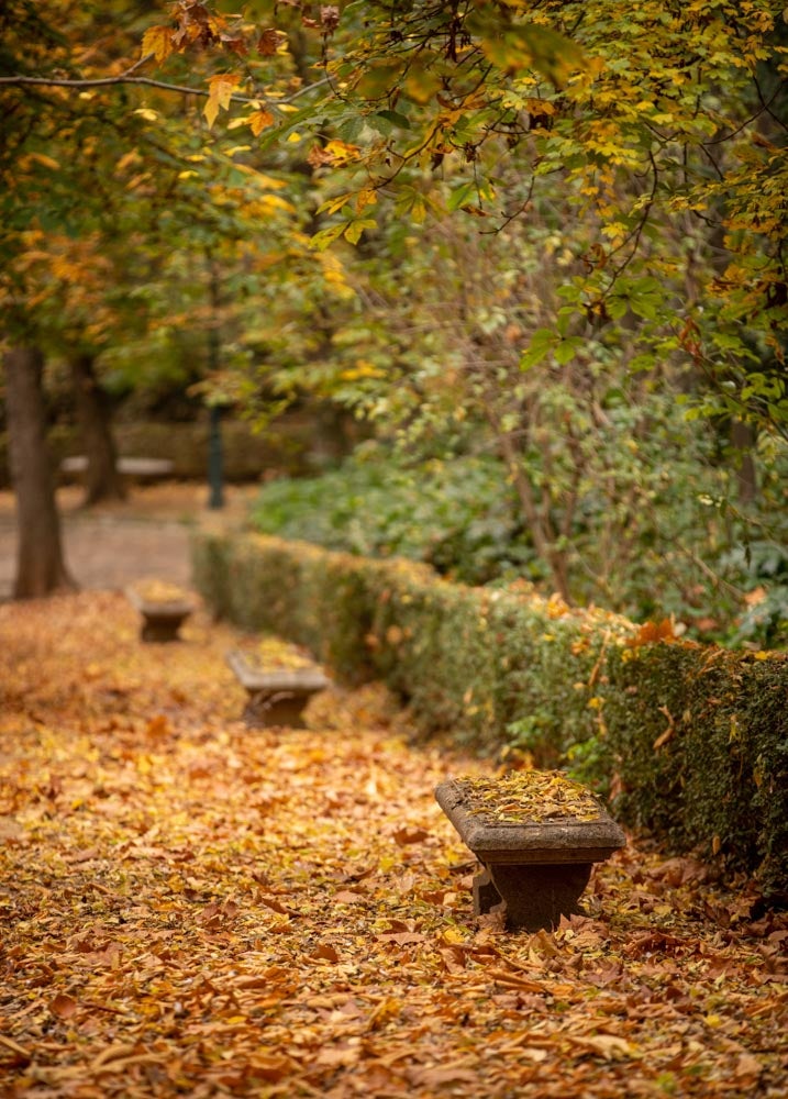 La capital nazarí ofrece paisajes bellos y penetrantes en la estación otoñal | La Alhambra, el centro... todos los rincones ofrecen hermosas estampas