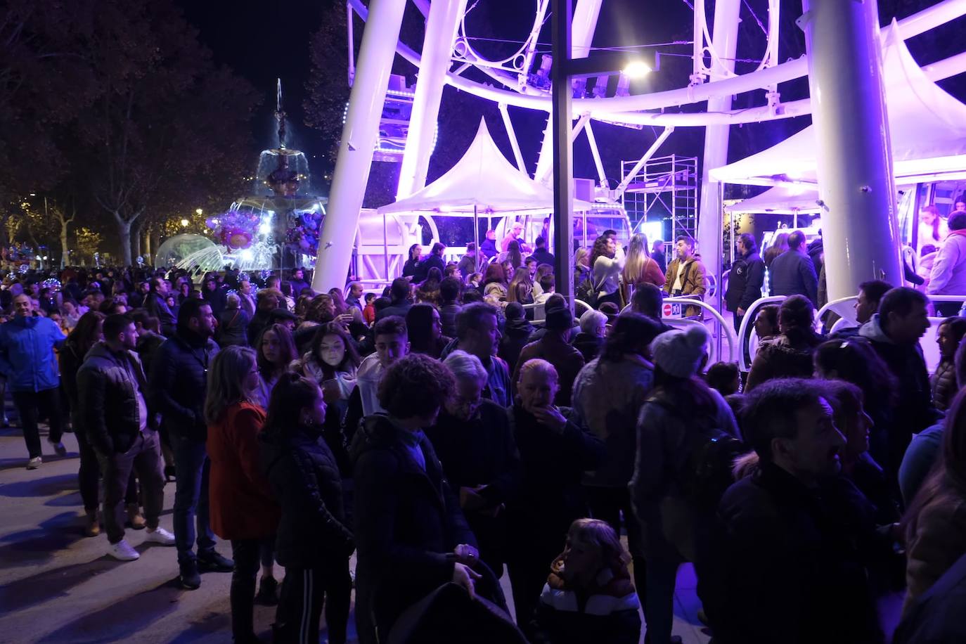 Las luces navideñas atraen a una multitud de personas en el centro de Granada
