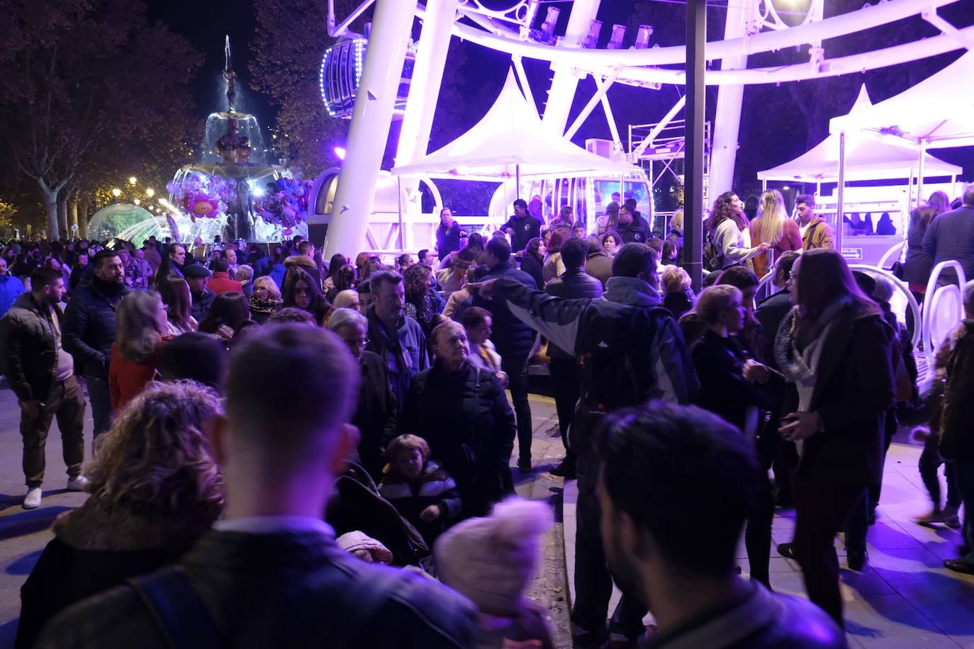 Las luces navideñas atraen a una multitud de personas en el centro de Granada