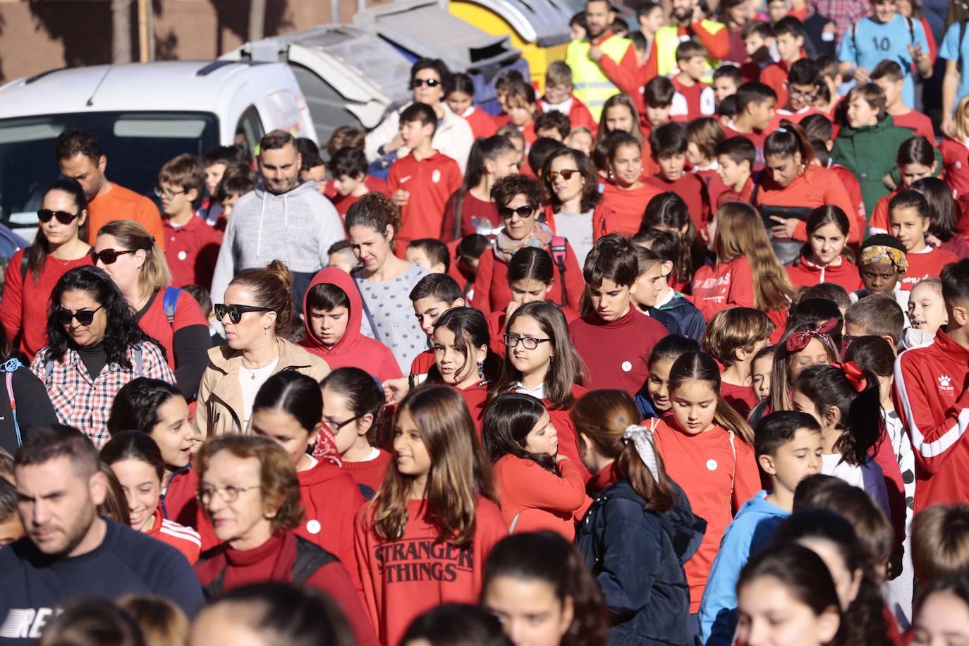 El niño de siete años motrileño que padece la enfermedad de Duchenne, una dolencia que causa distrofia muscular y que es degenerativa 
