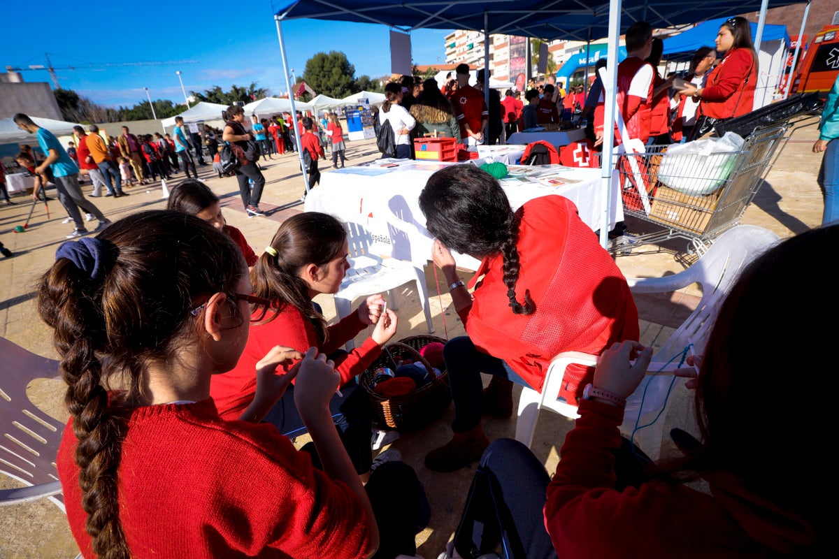 Esta nueva edición refuerza el carácter informativo al tiempo que destaca «la contribución fundamental a la sociedad» de las asociaciones locales