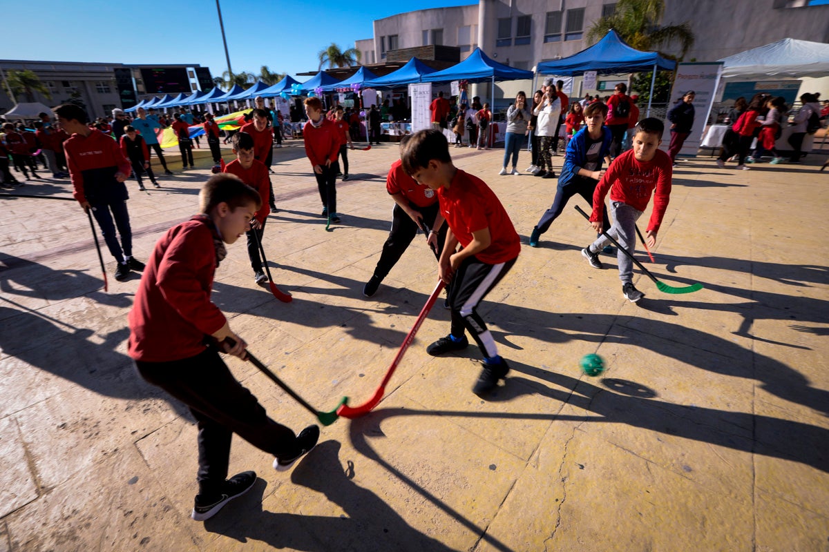Esta nueva edición refuerza el carácter informativo al tiempo que destaca «la contribución fundamental a la sociedad» de las asociaciones locales