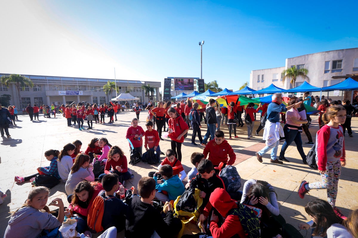 Esta nueva edición refuerza el carácter informativo al tiempo que destaca «la contribución fundamental a la sociedad» de las asociaciones locales