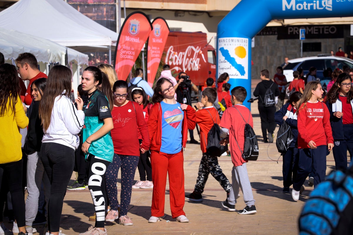 Esta nueva edición refuerza el carácter informativo al tiempo que destaca «la contribución fundamental a la sociedad» de las asociaciones locales