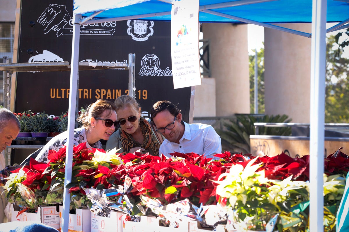 Esta nueva edición refuerza el carácter informativo al tiempo que destaca «la contribución fundamental a la sociedad» de las asociaciones locales