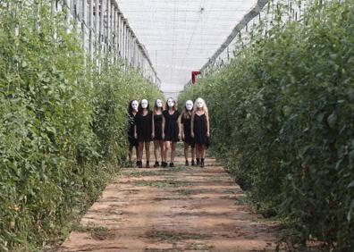 Imagen secundaria 1 - Algunas imágenes del proyecto. 