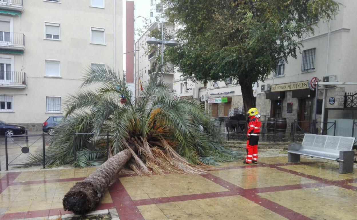 El tiempo en Jaén | Los fuertes vientos activan la alerta amarilla en la provincia