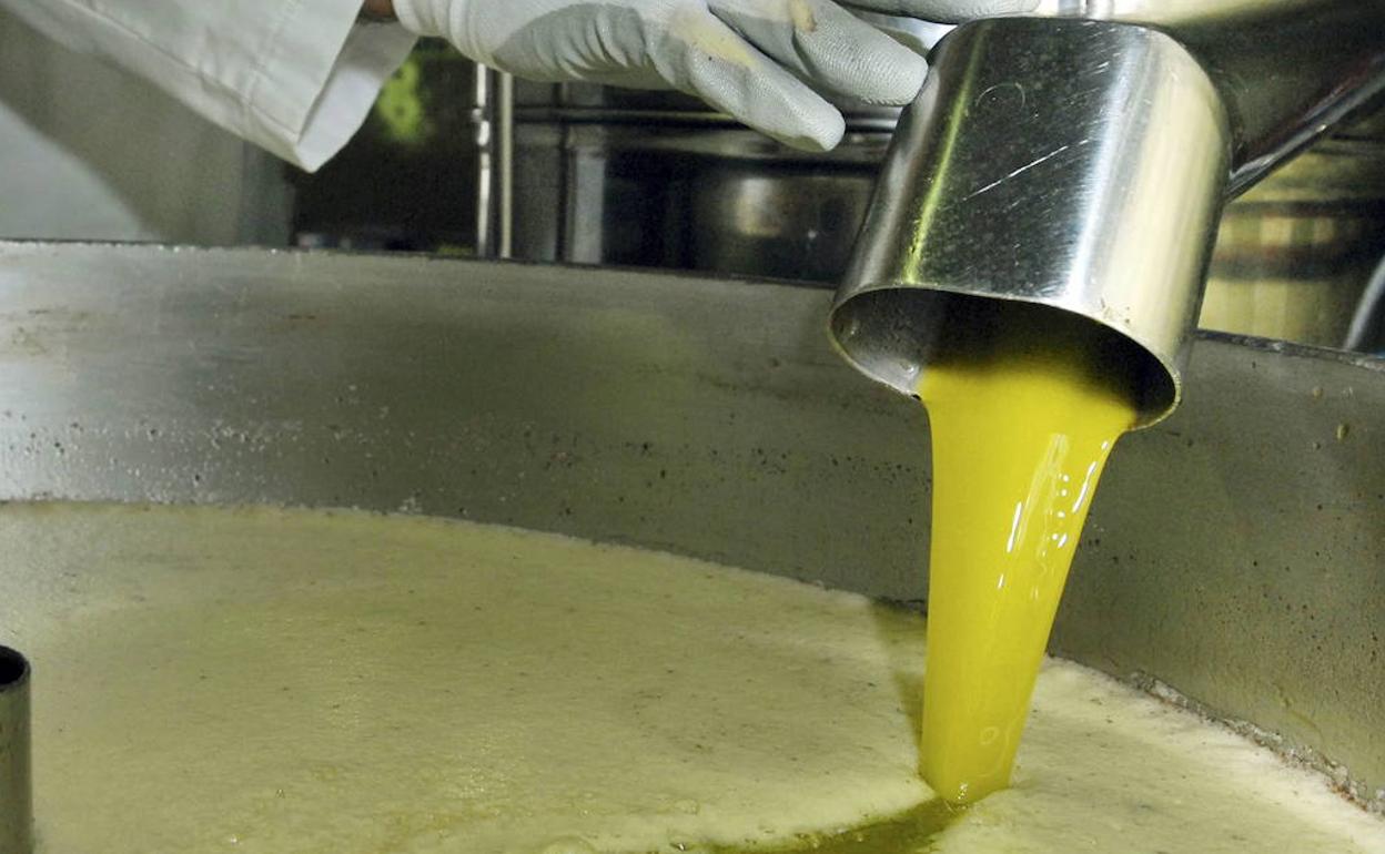 El nuevo «fracaso» en la licitación de aceite hunde los precios aún más