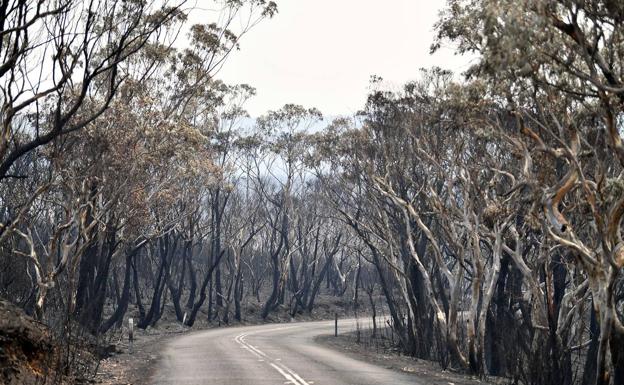 Imagen principal - Australia registra la mayor temperatura de su historia en medio de los incendios