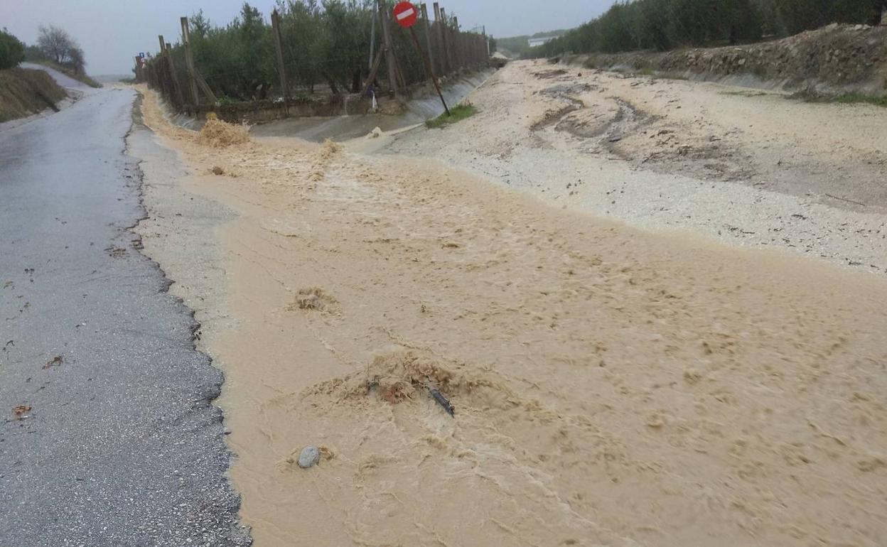 Carretera en Torredonjimeno este jueves. 