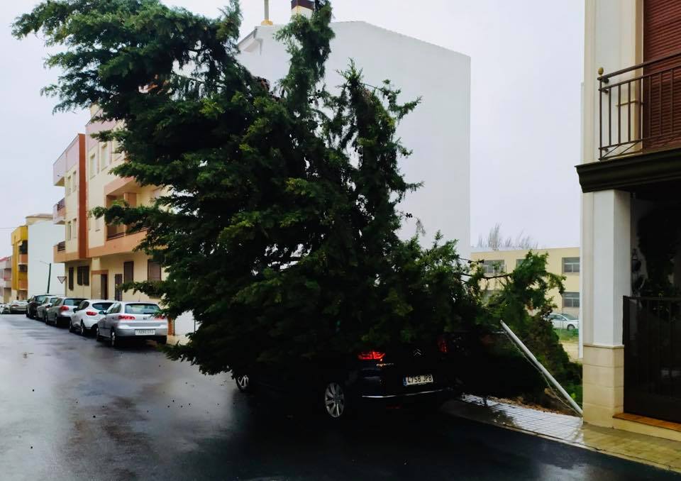 La lluvia y el viento han causado más de 80 incidencias en la provincia durante la noche, aún con alerta naranja, más de 200 desde que llegó Elsa