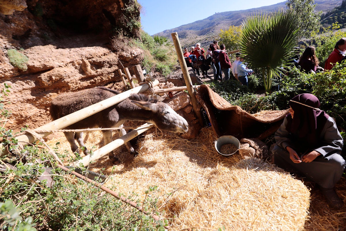 Cientos de personas se han acercado hoy, un año más, a disfrutar del espectacular Belén viviente de Los Tablones