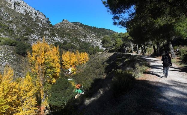 Imagen principal - Ruta por Granada | El origen del río Darro, el &#039;nacimiento&#039; del agua