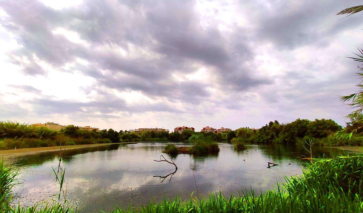 Laguna de las Aneas, 