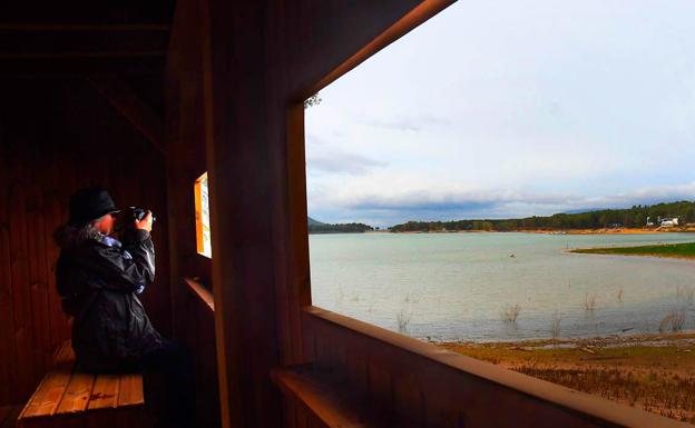 Imagen principal - Rutas de Navidad | Observar aves en la cola del embalse de Cubillas