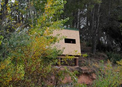 Imagen secundaria 1 - Rutas de Navidad | Observar aves en la cola del embalse de Cubillas