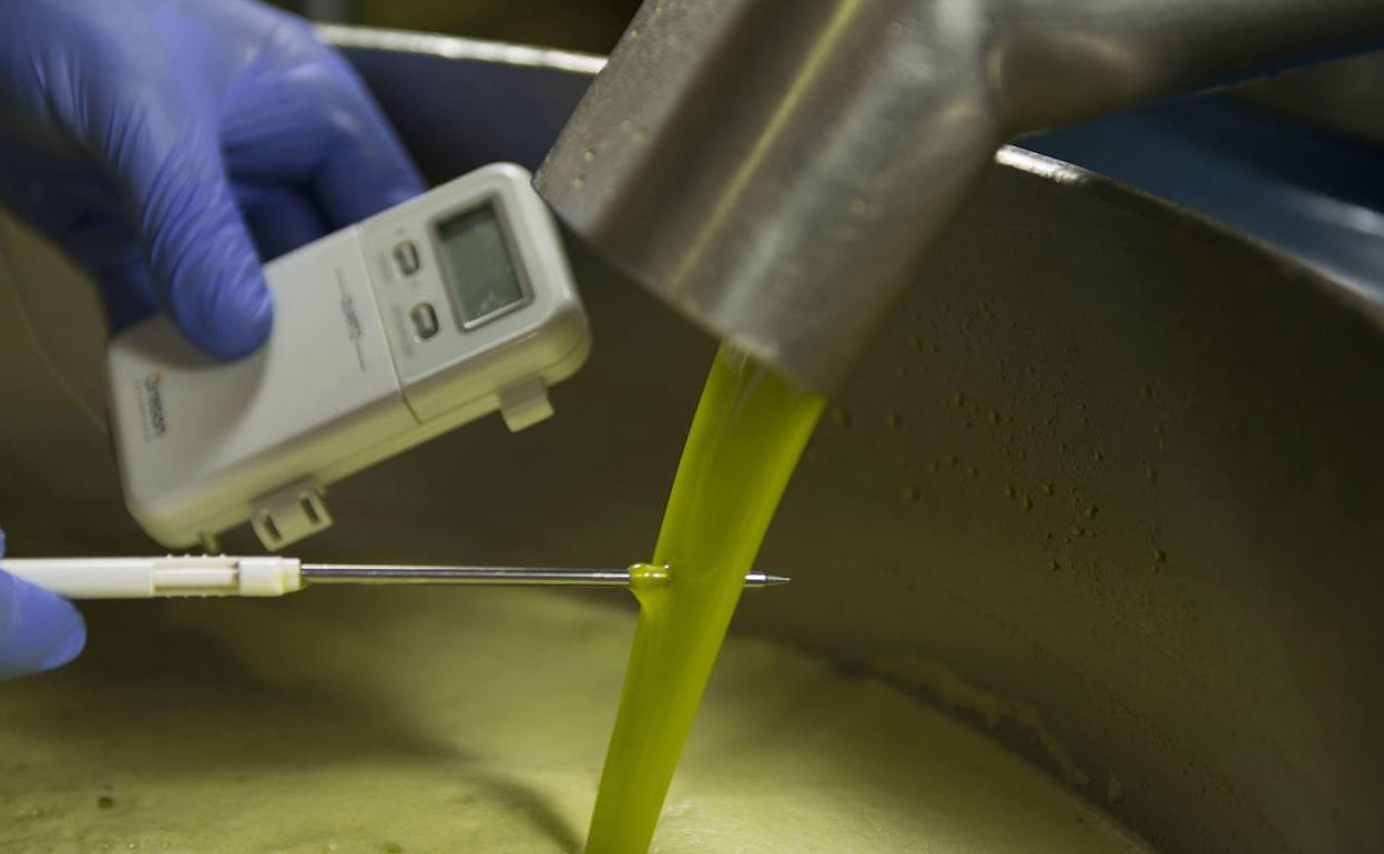 La nueva amenaza de Trump al sector olivarero y la oportunidad del sello 'Aceite de Jaén'