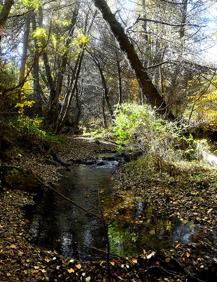 Imagen secundaria 2 - La fuente del Chortal, el agua de los castaños de Jérez