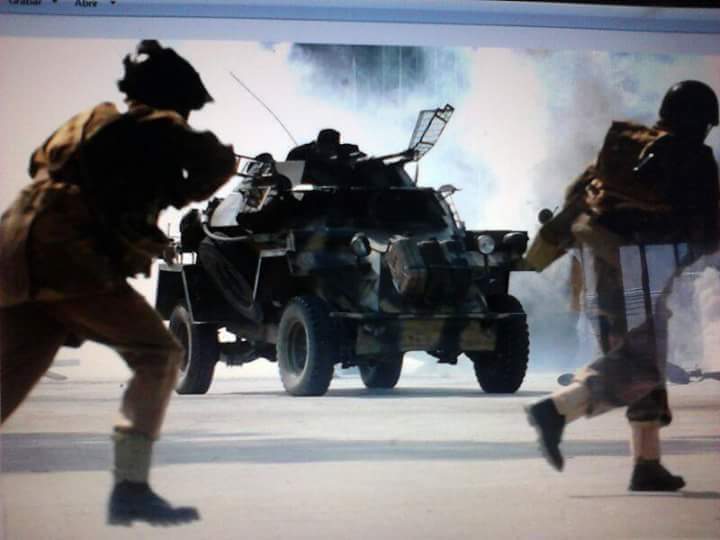 Fotos: Las actividades de la Fundación Museo Histórico Militar de Granada