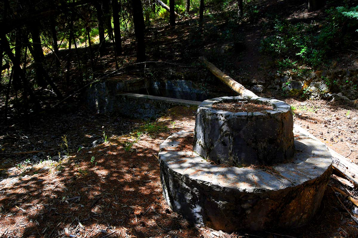 Instalaciones junto a la alberca de Los Peñoncillos 